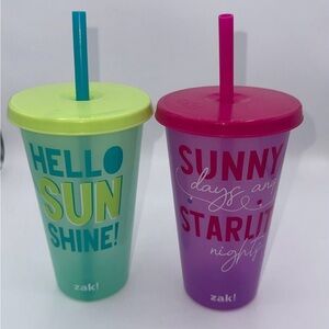Zak! Insulated Tumbler Set with Straws